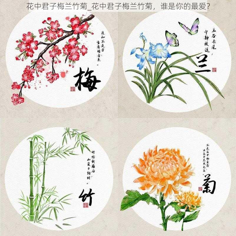 花中君子梅兰竹菊_花中君子梅兰竹菊，谁是你的最爱？