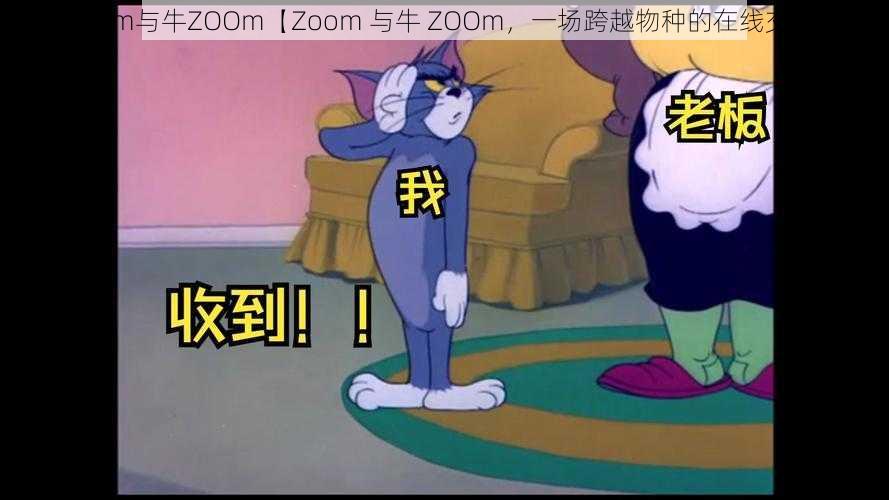 Zoom与牛ZOOm【Zoom 与牛 ZOOm，一场跨越物种的在线交流】