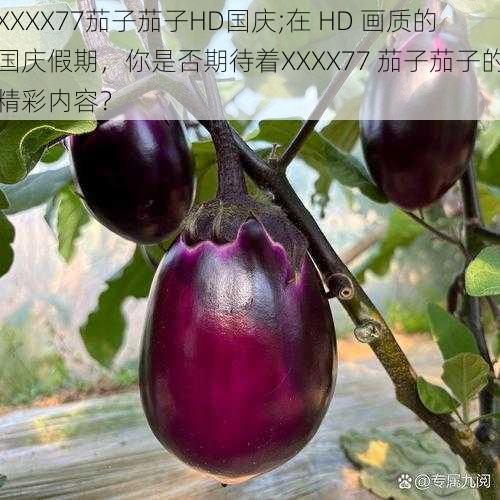 XXXX77茄子茄子HD国庆;在 HD 画质的国庆假期，你是否期待着XXXX77 茄子茄子的精彩内容？