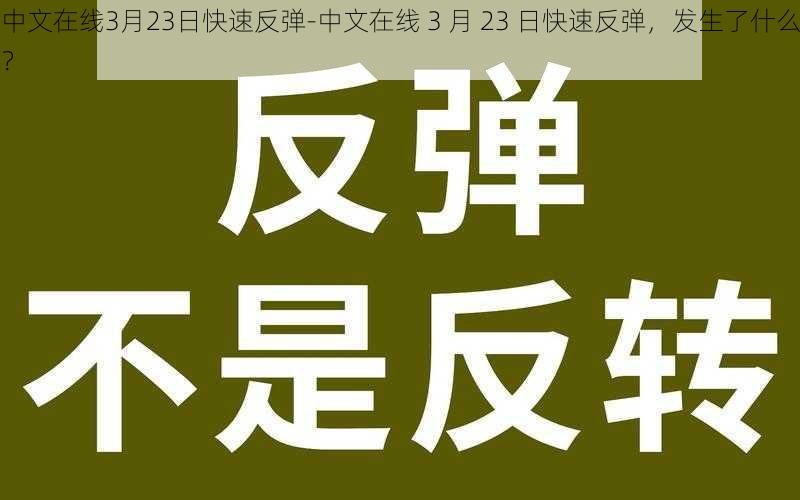 中文在线3月23日快速反弹-中文在线 3 月 23 日快速反弹，发生了什么？