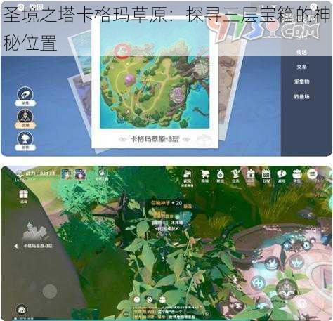 圣境之塔卡格玛草原：探寻三层宝箱的神秘位置