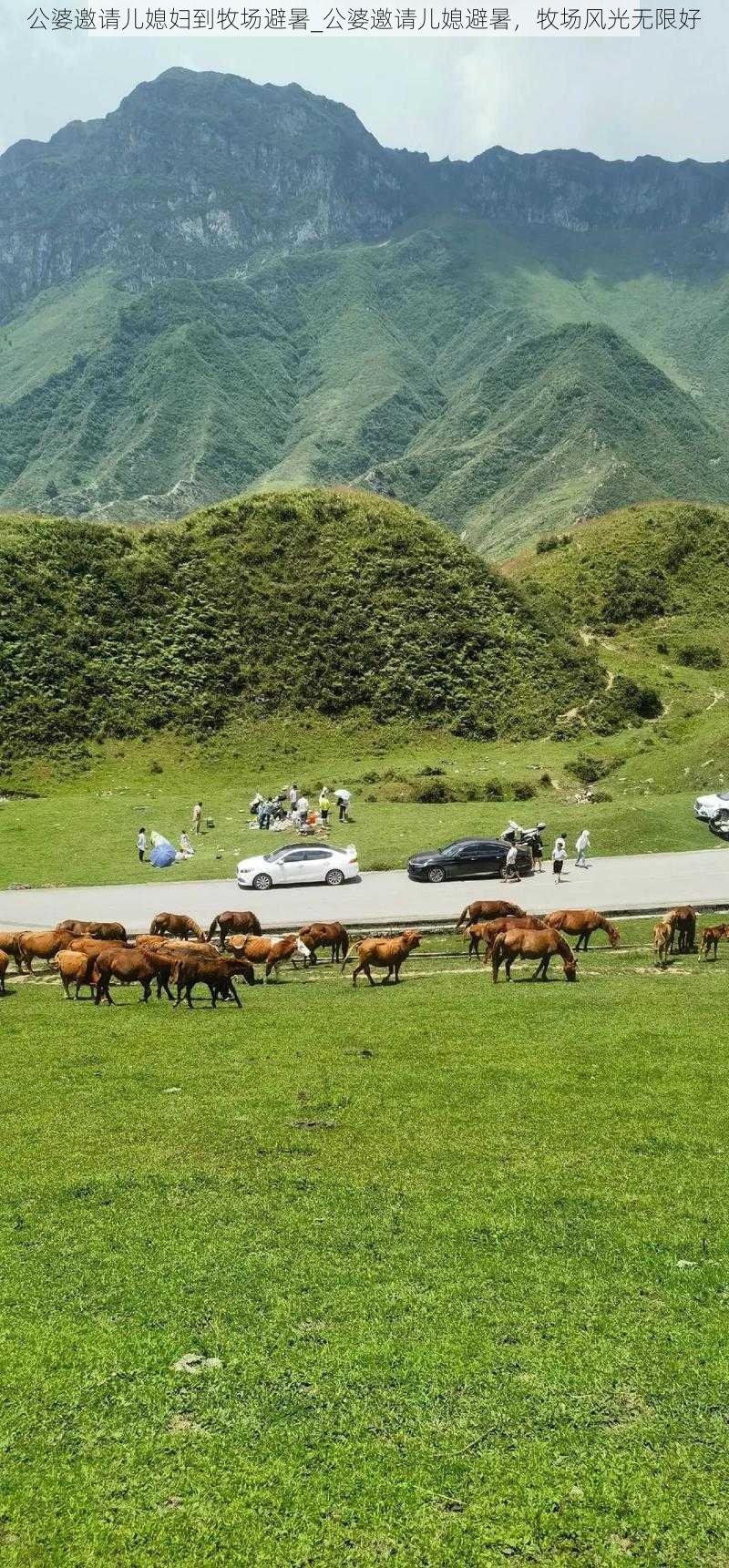 公婆邀请儿媳妇到牧场避暑_公婆邀请儿媳避暑，牧场风光无限好