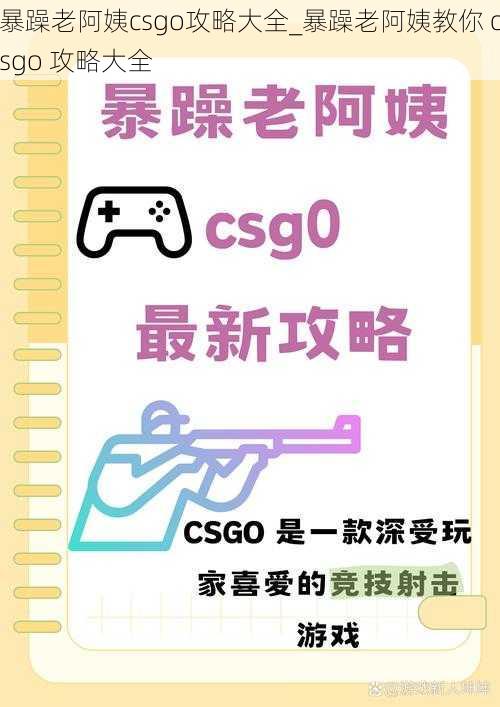 暴躁老阿姨csgo攻略大全_暴躁老阿姨教你 csgo 攻略大全