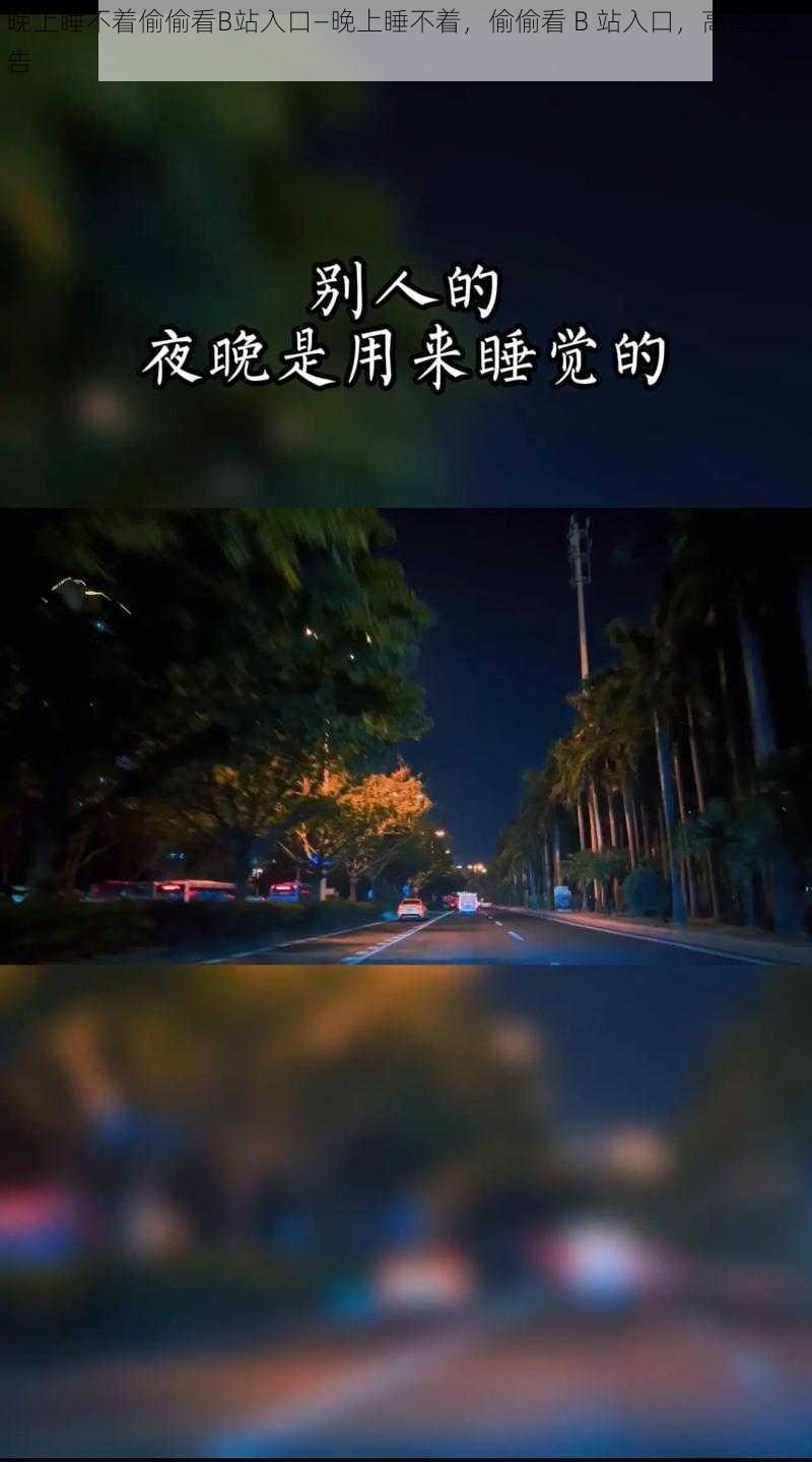 晚上睡不着偷偷看B站入口—晚上睡不着，偷偷看 B 站入口，高清无广告