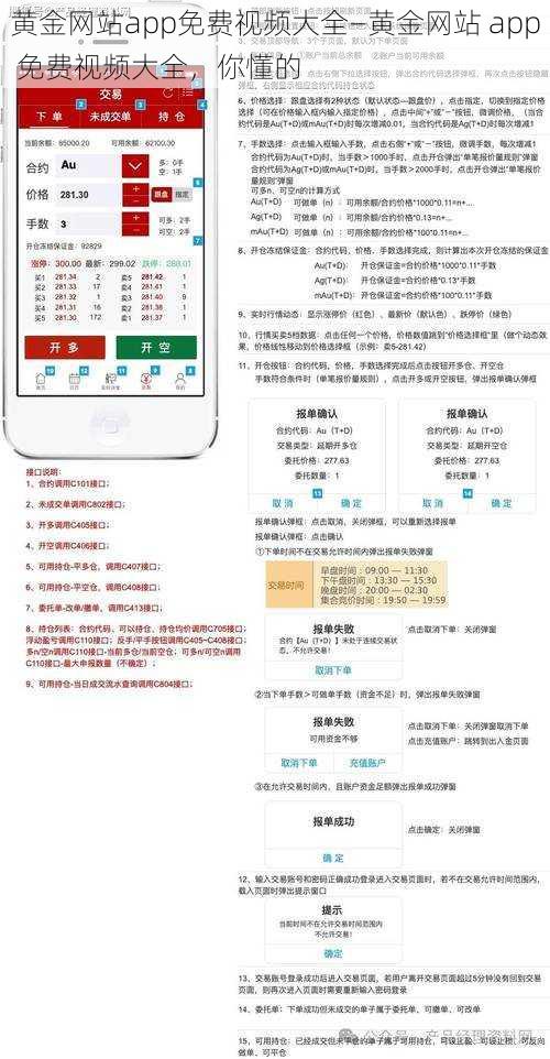 黄金网站app免费视频大全—黄金网站 app 免费视频大全，你懂的