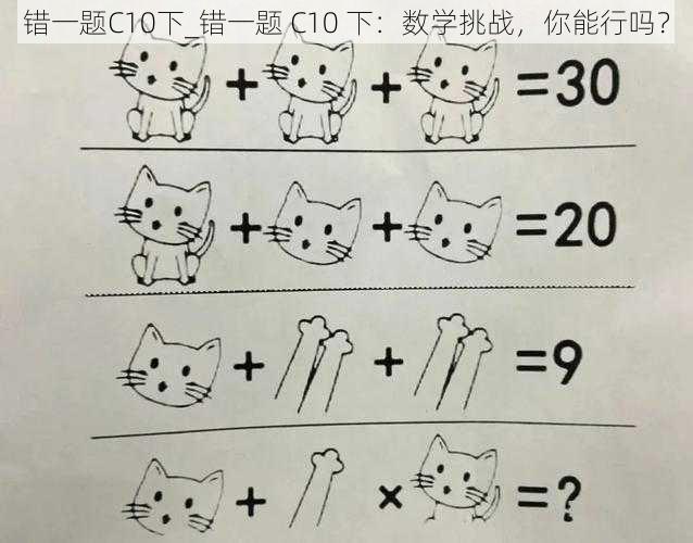 错一题C10下_错一题 C10 下：数学挑战，你能行吗？