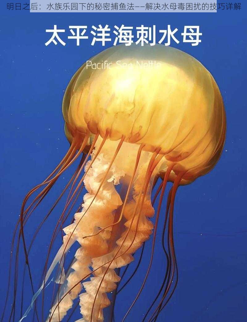 明日之后：水族乐园下的秘密捕鱼法——解决水母毒困扰的技巧详解