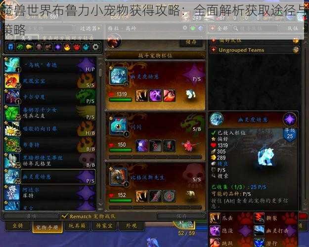 魔兽世界布鲁力小宠物获得攻略：全面解析获取途径与策略