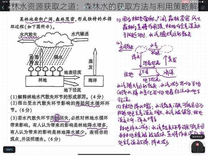 森林水资源获取之道：森林水的获取方法与利用策略解析