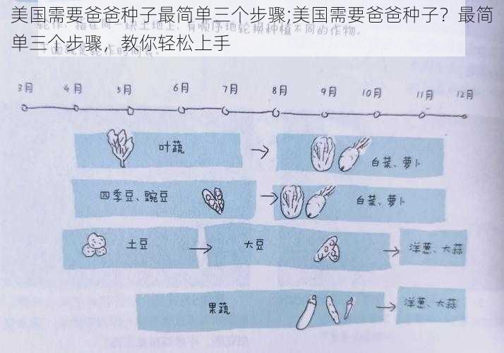 美国需要爸爸种子最简单三个步骤;美国需要爸爸种子？最简单三个步骤，教你轻松上手