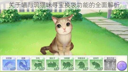 关于喵与筑猫咪寻宝换袋功能的全面解析