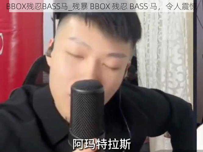 BBOX残忍BASS马_残暴 BBOX 残忍 BASS 马，令人震惊