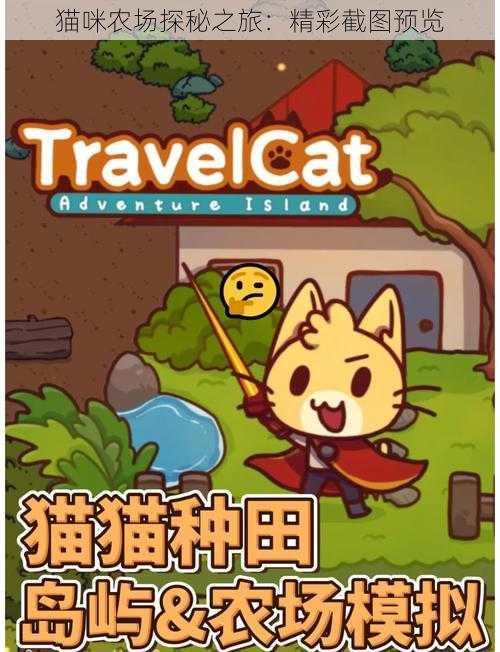 猫咪农场探秘之旅：精彩截图预览