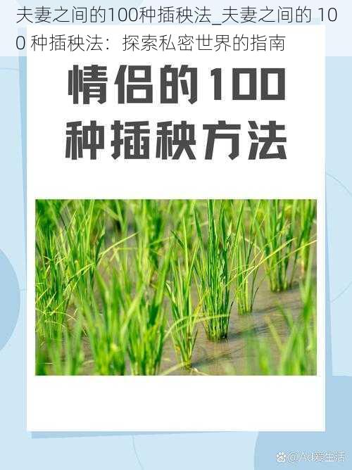 夫妻之间的100种插秧法_夫妻之间的 100 种插秧法：探索私密世界的指南