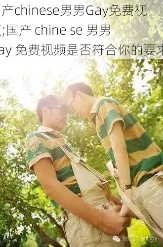 国产chinese男男Gay免费视频;国产 chine se 男男 Gay 免费视频是否符合你的要求？