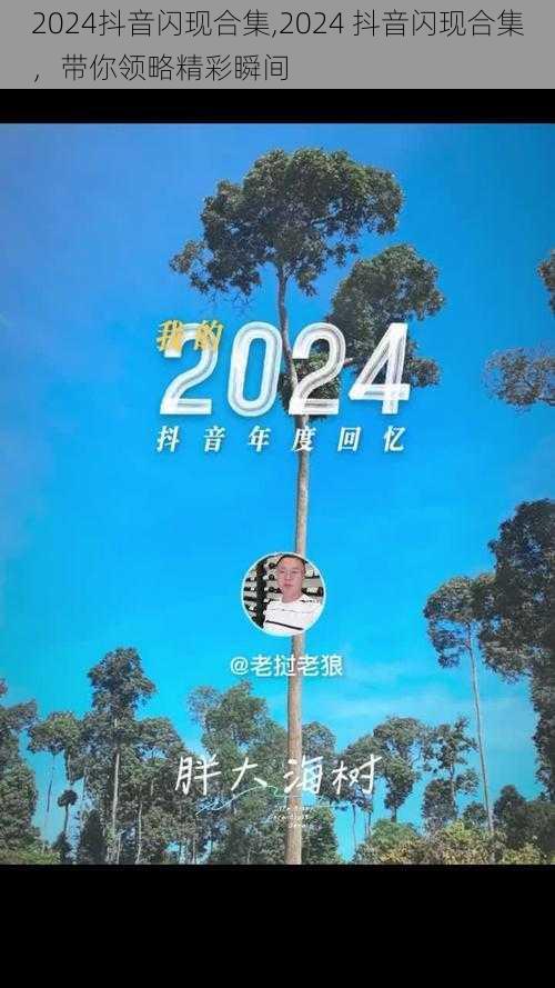 2024抖音闪现合集,2024 抖音闪现合集，带你领略精彩瞬间