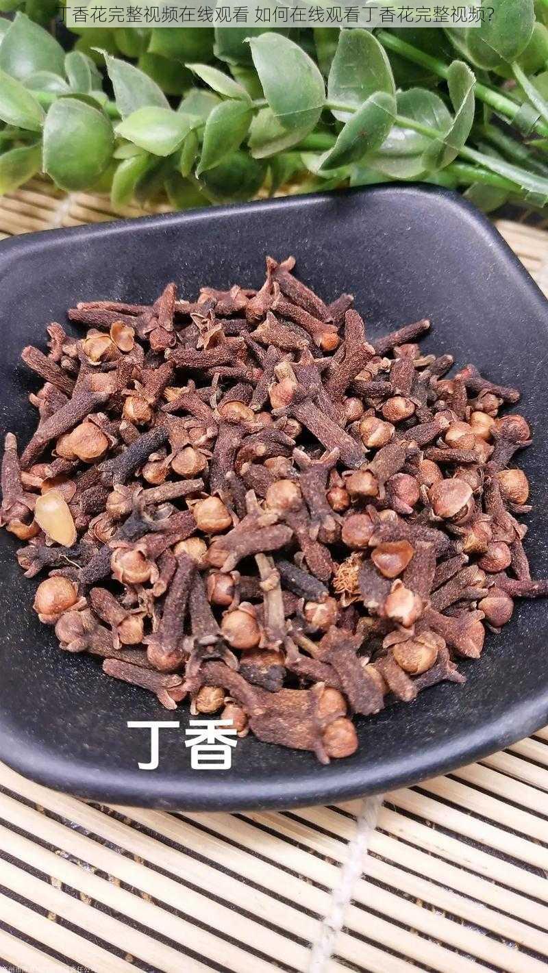 丁香花完整视频在线观看 如何在线观看丁香花完整视频？