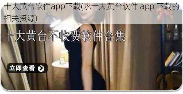 十大黄台软件app下载(求十大黄台软件 app 下载的相关资源)