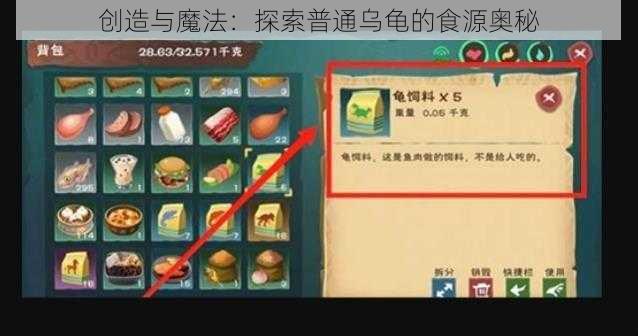 创造与魔法：探索普通乌龟的食源奥秘