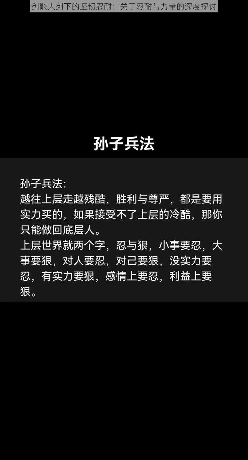 剑骸大剑下的坚韧忍耐：关于忍耐与力量的深度探讨