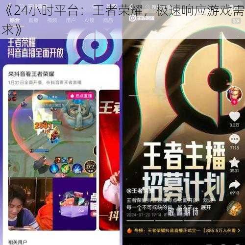 《24小时平台：王者荣耀，极速响应游戏需求》