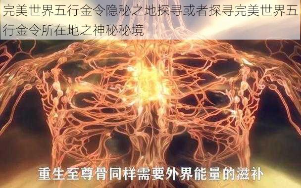 完美世界五行金令隐秘之地探寻或者探寻完美世界五行金令所在地之神秘秘境