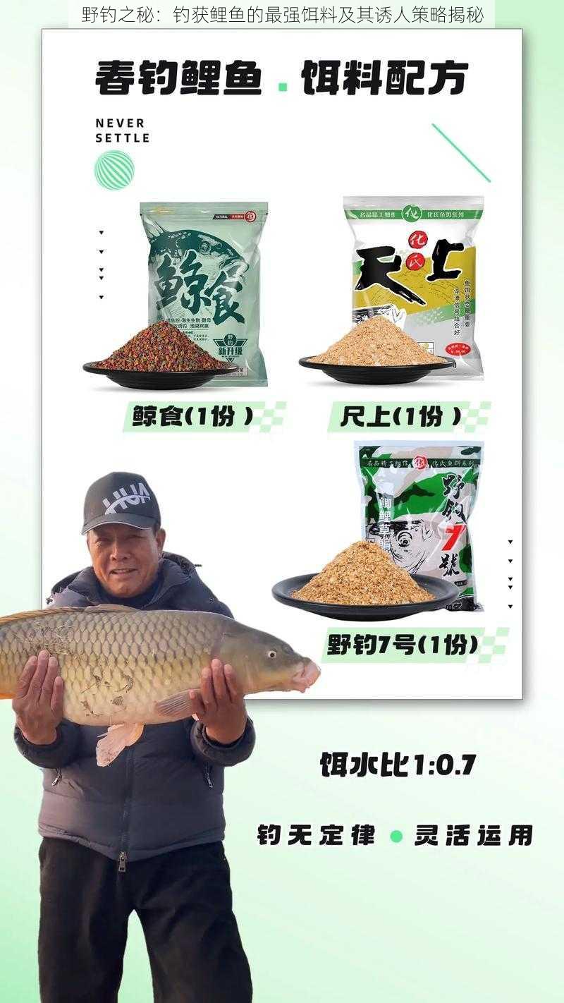 野钓之秘：钓获鲤鱼的最强饵料及其诱人策略揭秘