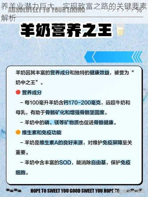 养羊业潜力巨大，实现致富之路的关键要素解析