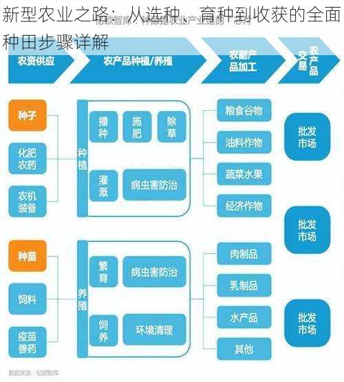 新型农业之路：从选种、育种到收获的全面种田步骤详解