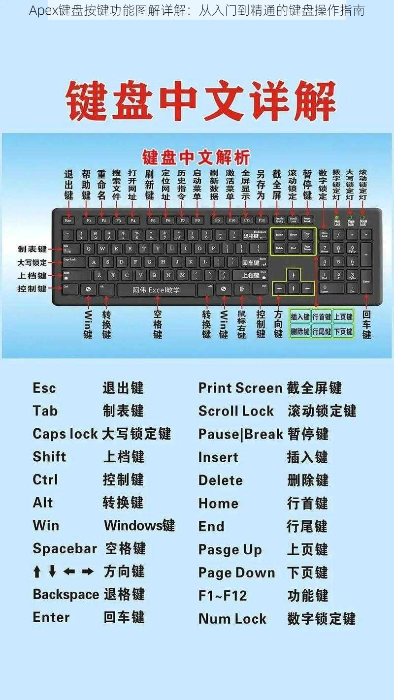 Apex键盘按键功能图解详解：从入门到精通的键盘操作指南