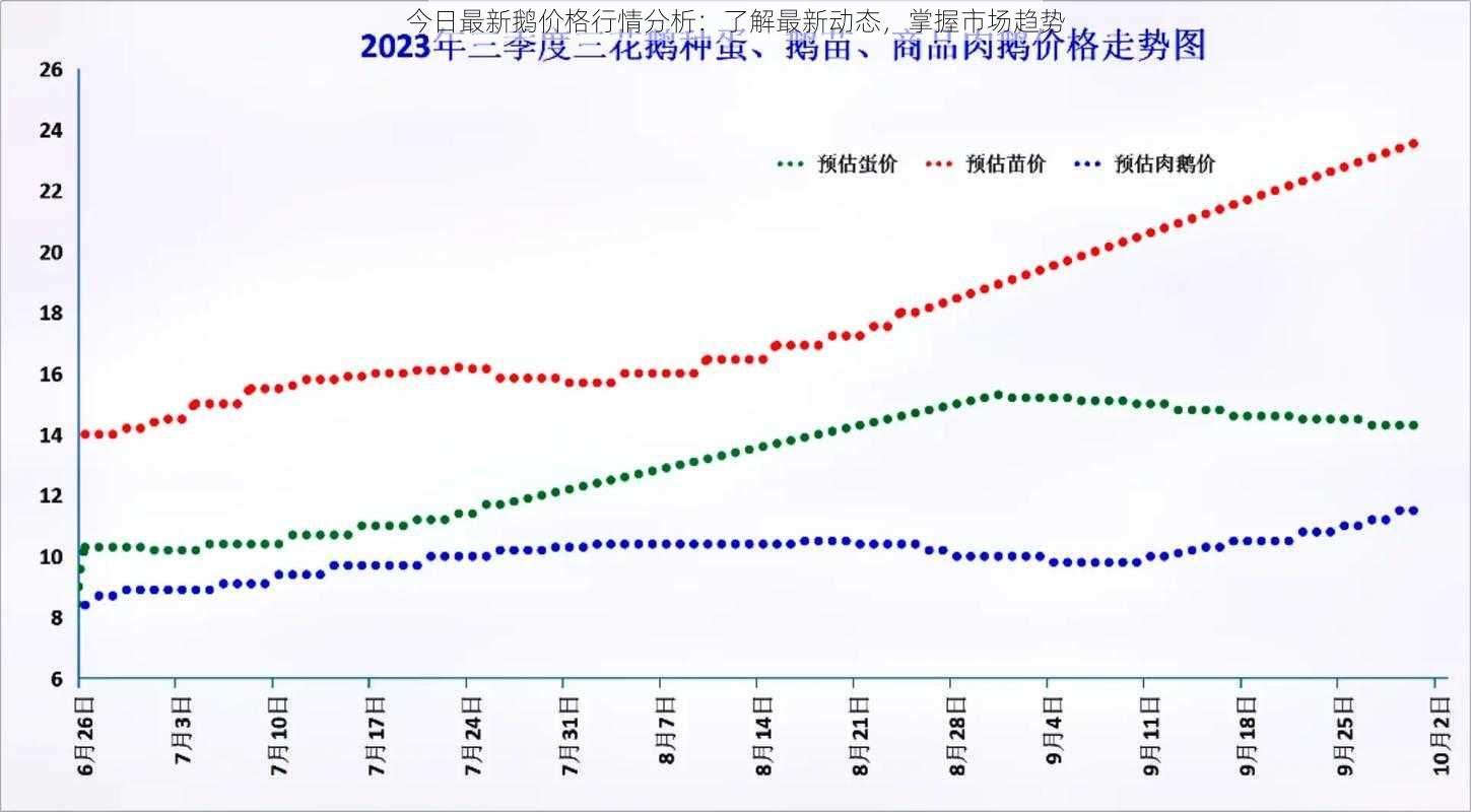 今日最新鹅价格行情分析：了解最新动态，掌握市场趋势