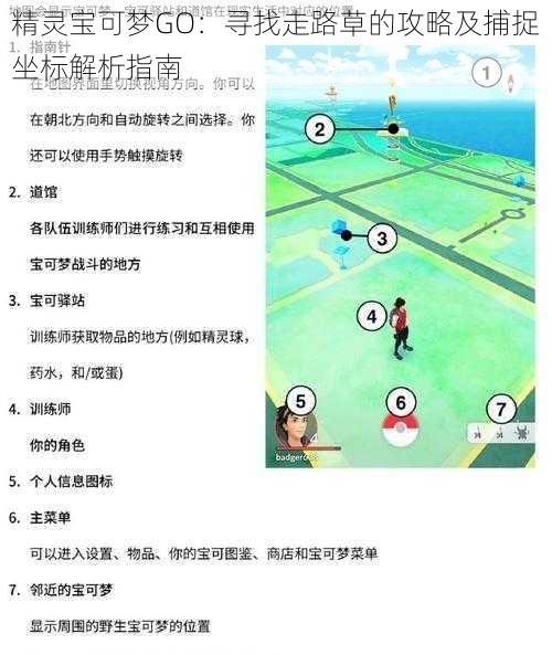 精灵宝可梦GO：寻找走路草的攻略及捕捉坐标解析指南