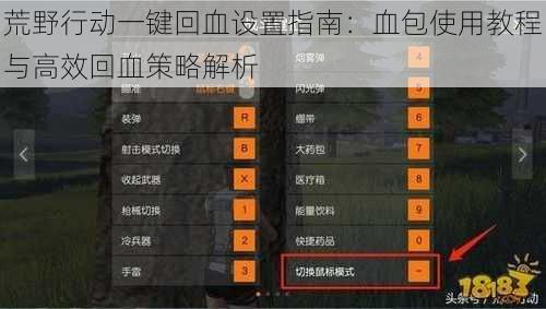 荒野行动一键回血设置指南：血包使用教程与高效回血策略解析