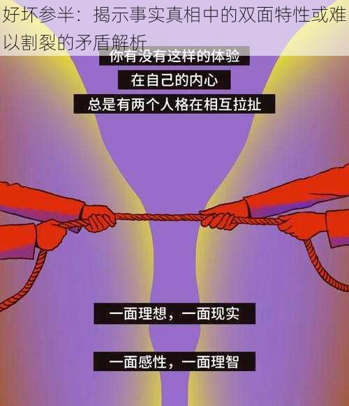 好坏参半：揭示事实真相中的双面特性或难以割裂的矛盾解析